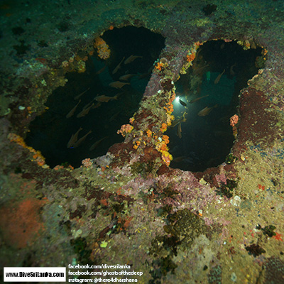 Clarke Wreck
